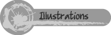 illustrations